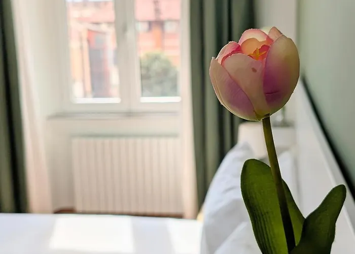 Domus Tulipa - A Due Passi Da Via Veneto * רומא